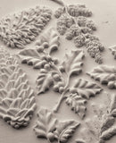 Winter Forage 6x10 IOD Mould™
