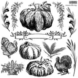 Autumn Blessings 12x12 IOD Stamp™