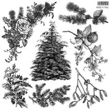 Holly & Pine 12x12 IOD Stamp™