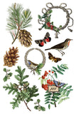 Winter Botanist IOD Transfer 8x12 Pad™