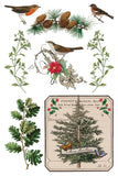 Winter Botanist IOD Transfer 8x12 Pad™
