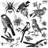 Birds_Bees IOD Stamp