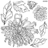 IOD Chrysanthemum Stamps
