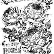 IOD Paintable Transfer Catalog Of Roses