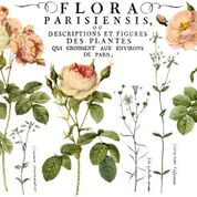 IOD Transfers Flora Parisiensis